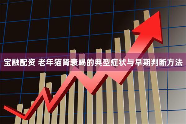宝融配资 老年猫肾衰竭的典型症状与早期判断方法