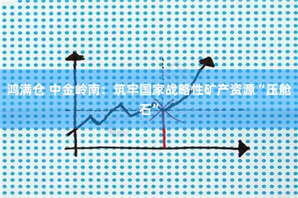 鸿满仓 中金岭南：筑牢国家战略性矿产资源“压舱石”