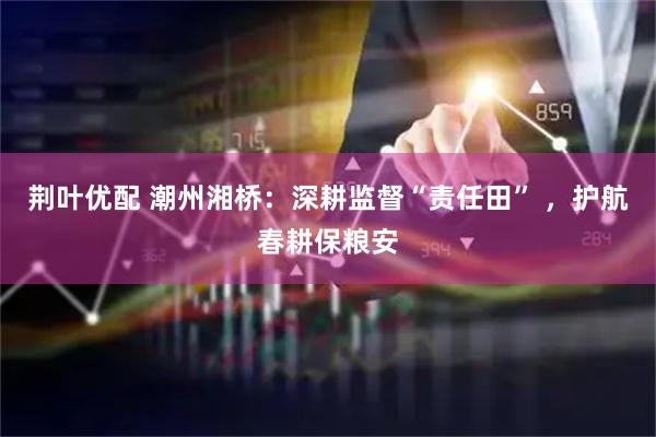 荆叶优配 潮州湘桥：深耕监督“责任田” ，护航春耕保粮安